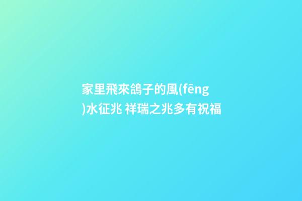 家里飛來鴿子的風(fēng)水征兆 祥瑞之兆多有祝福